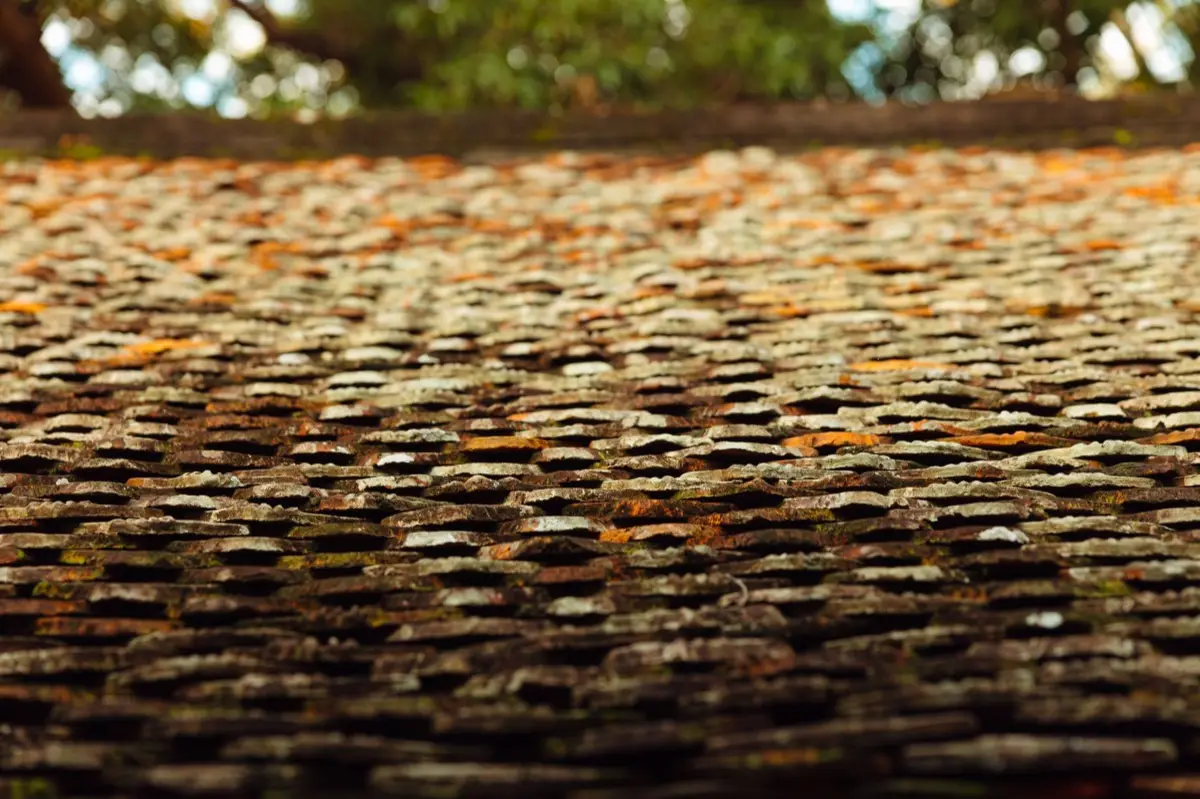 Roof Leak Repair in Concord, CA
